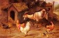 Fowl Chicks And Goats By A Dog Kennel poultry livestock barn Edgar Hunt